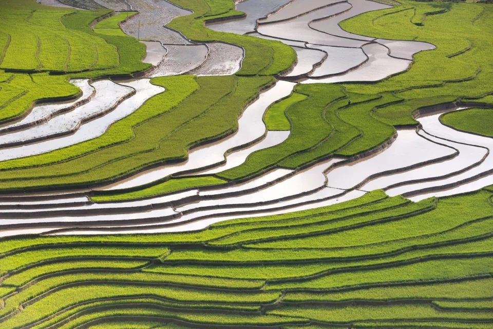 Kho gạo của Phan Văn Em